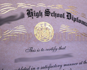 Fake Diploma Flat Fused Foil State Seal
